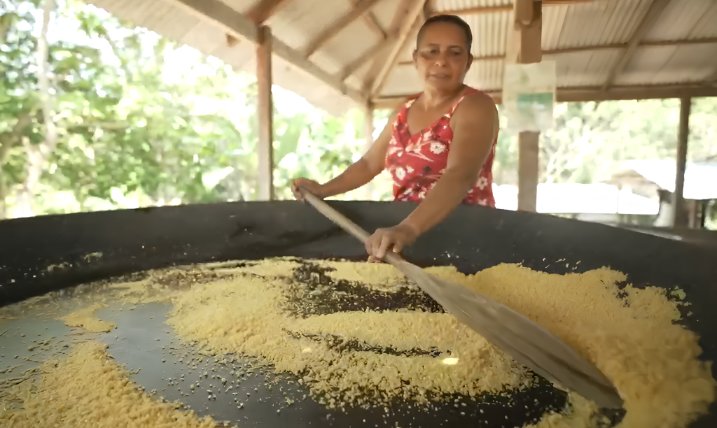 Produção de farinha de mandioca por comunidades ribeirinhas no Amazonas