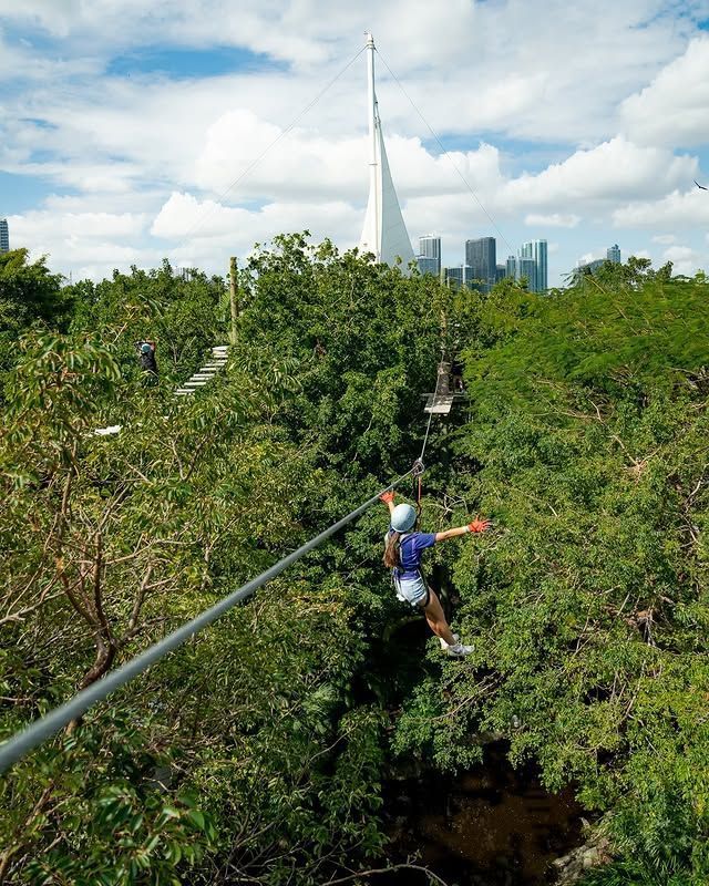 Treetop Trekking Miami