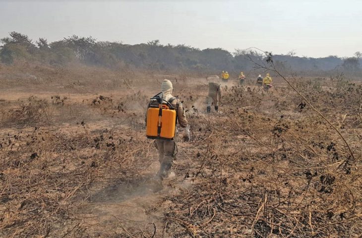 Bombeiros trabalham contra incêndios no Pantanal do Mato Grosso do Sul