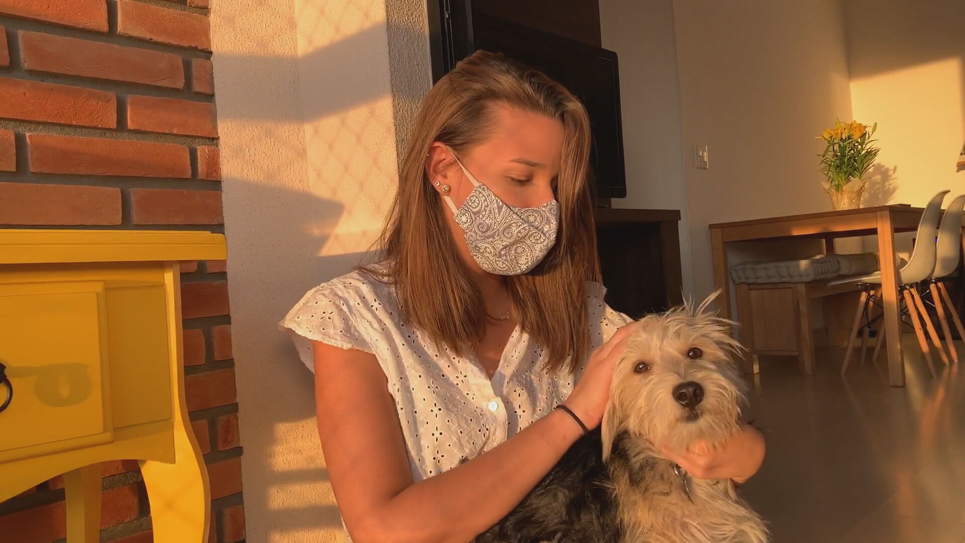 Cachorro adotado durante a pandemia ganha carinho da dona 