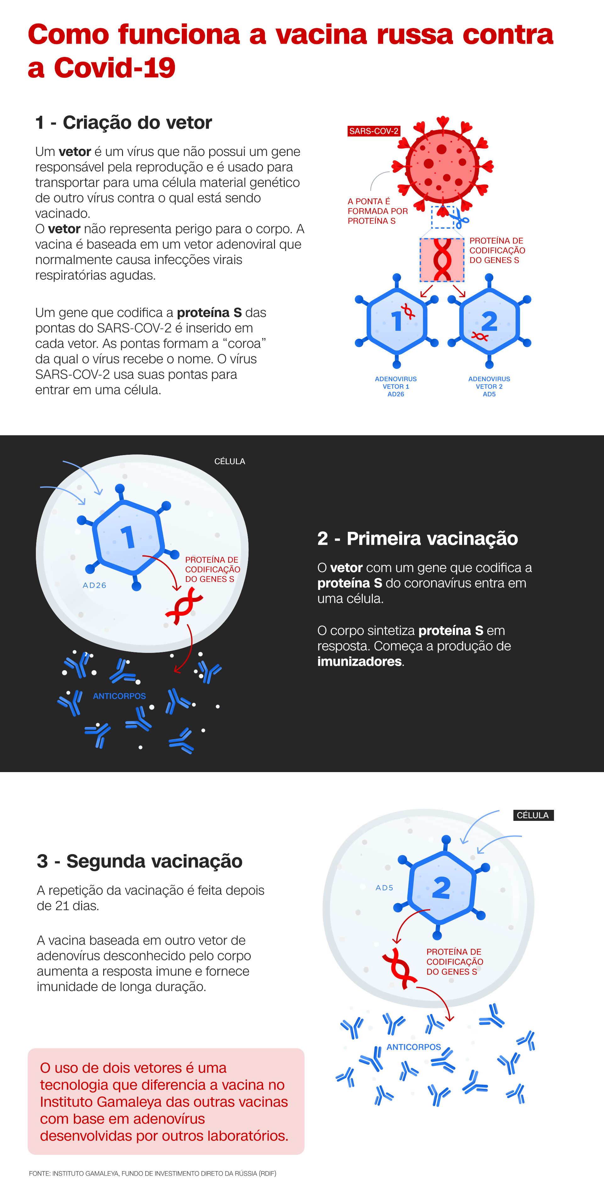 Infográfico vacina russa