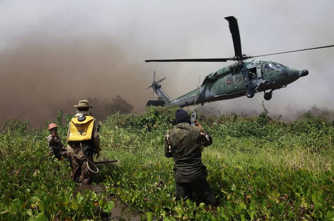 Operação Pantanal realizada pelos bombeiros tenta controlar as chamas na mata