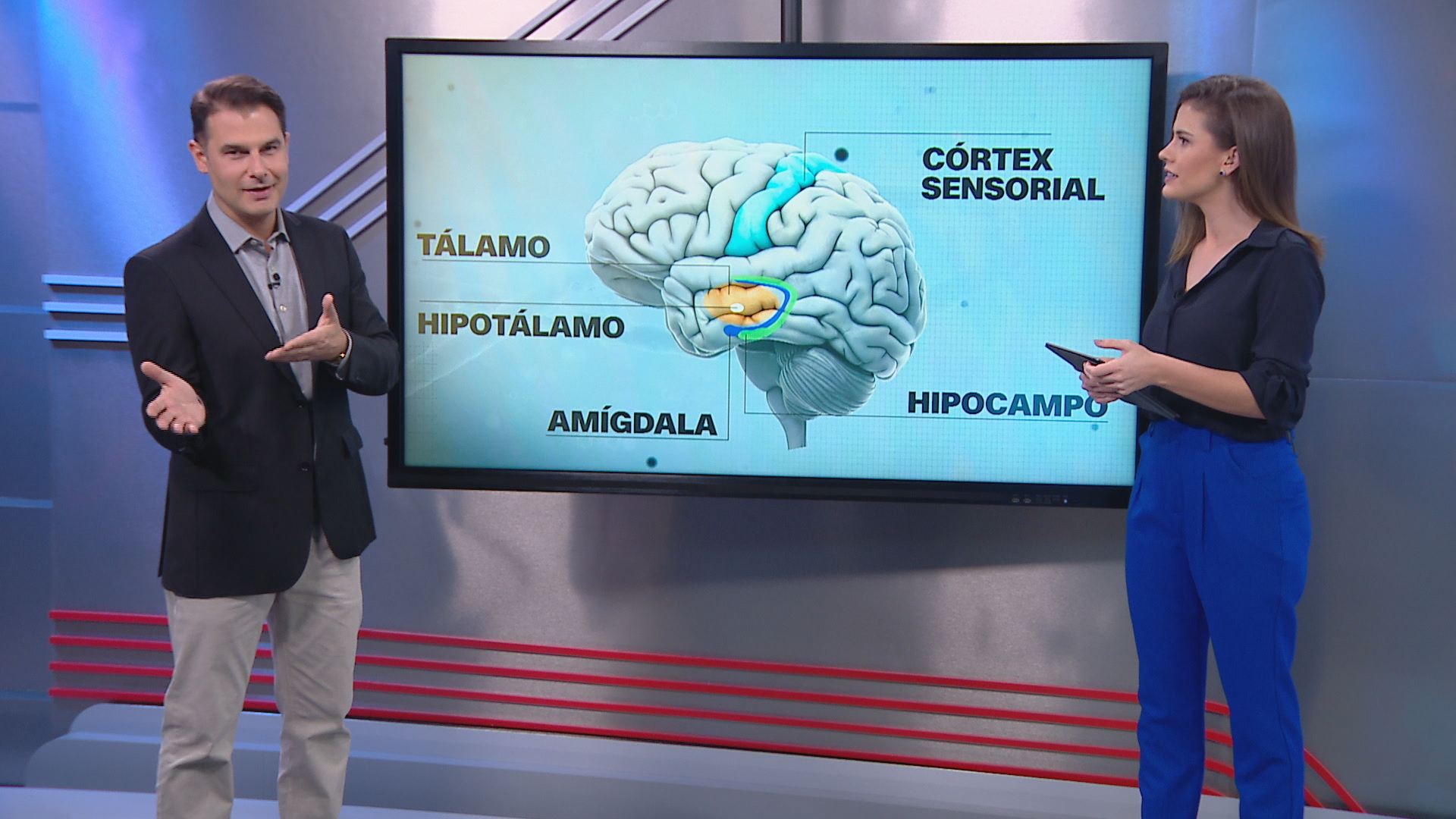 Correspondente Médico: Fernando Gomes explica como identificar Alzheimer