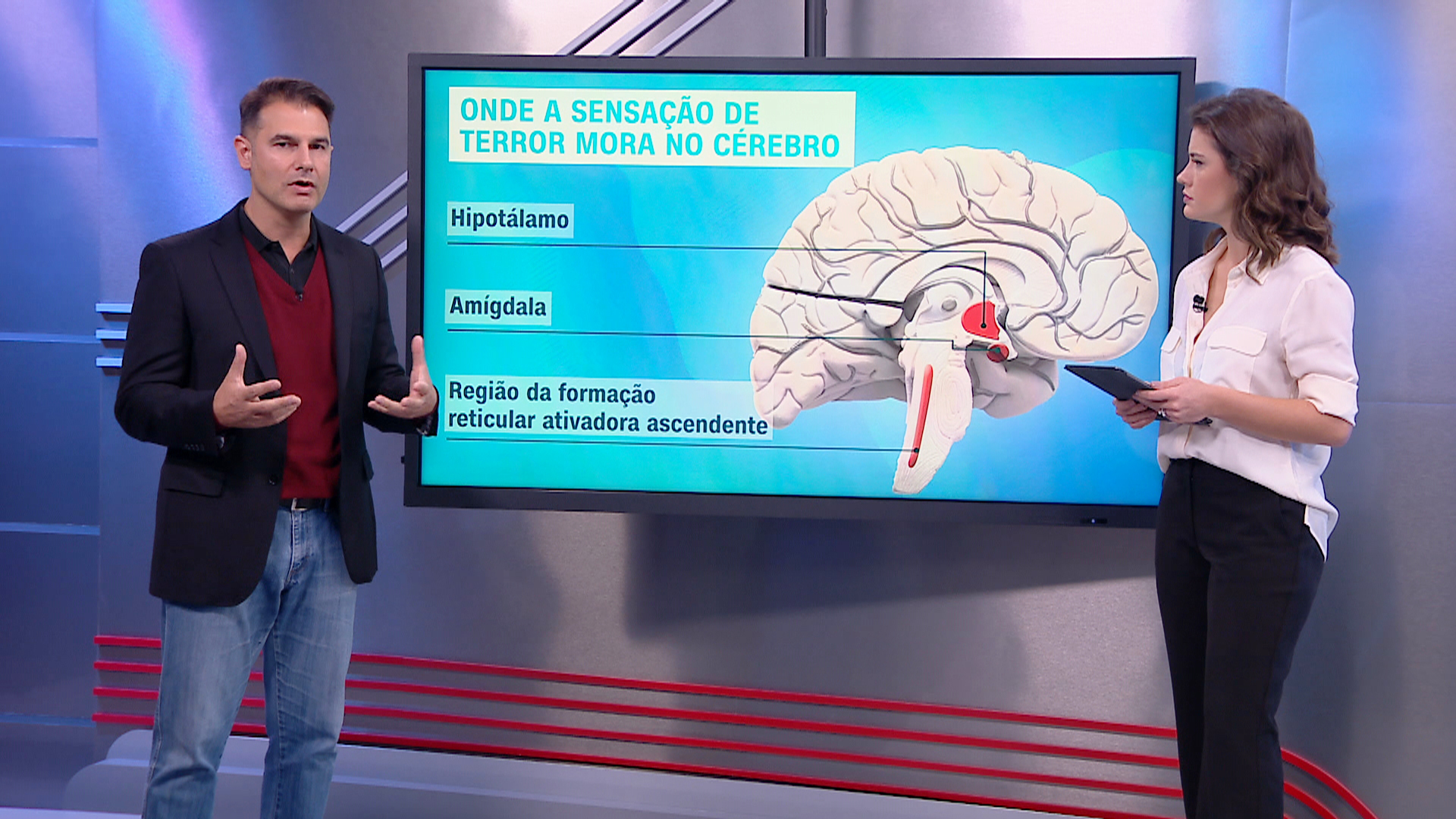 Correspondente Médico: o neurocirurgião Fernando Gomes fala sobre o comportament