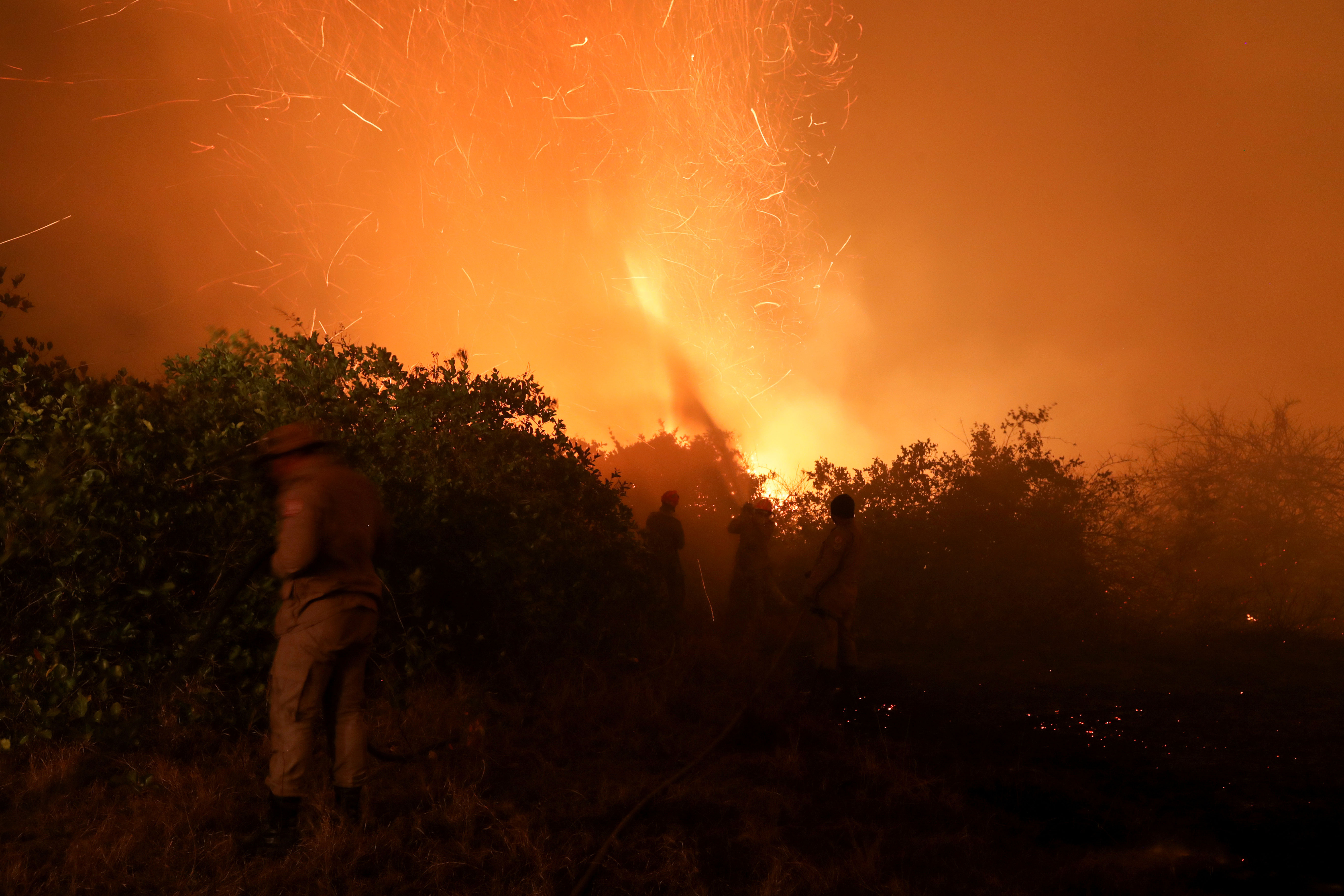 Bombeiros combatem chamas no Pantanal 