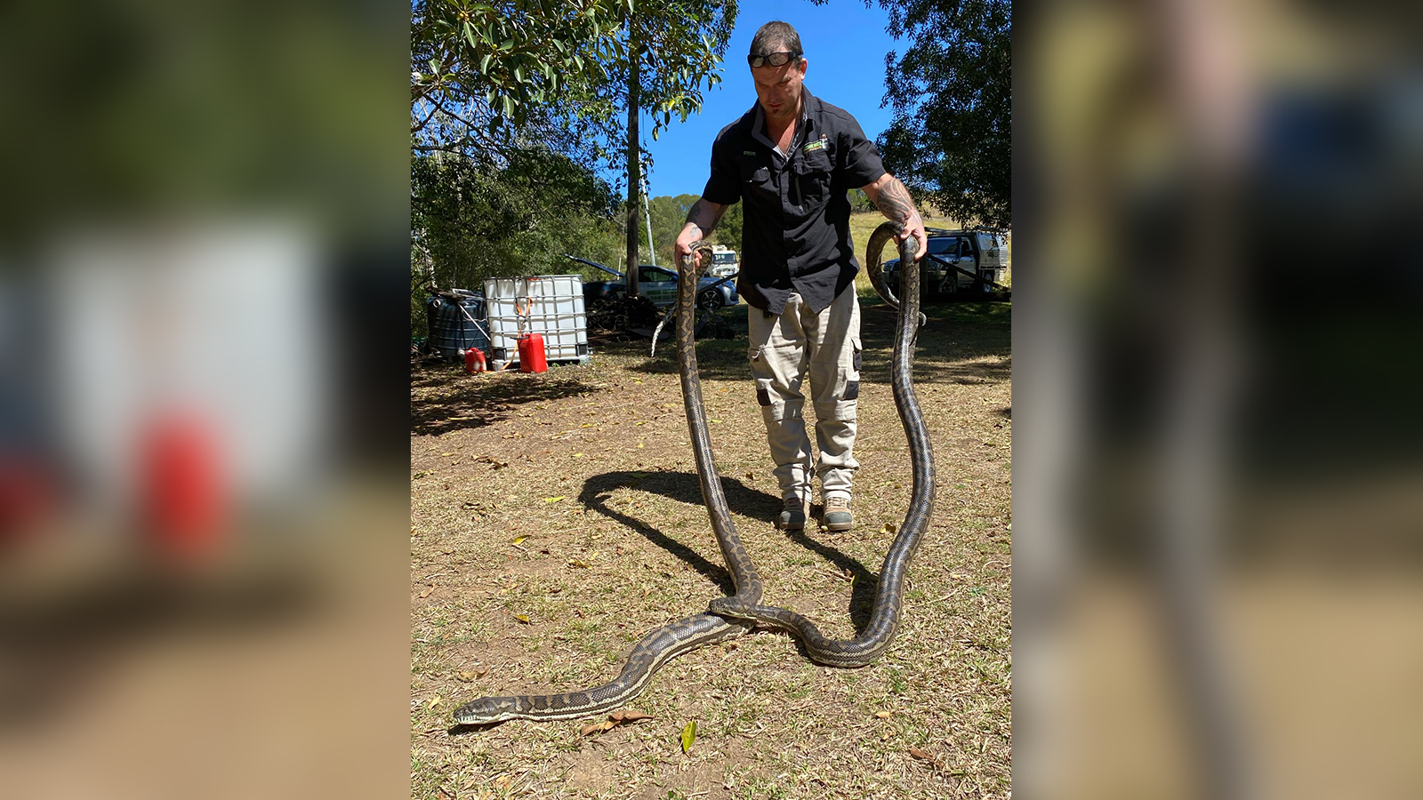 Homem segurando duas cobras