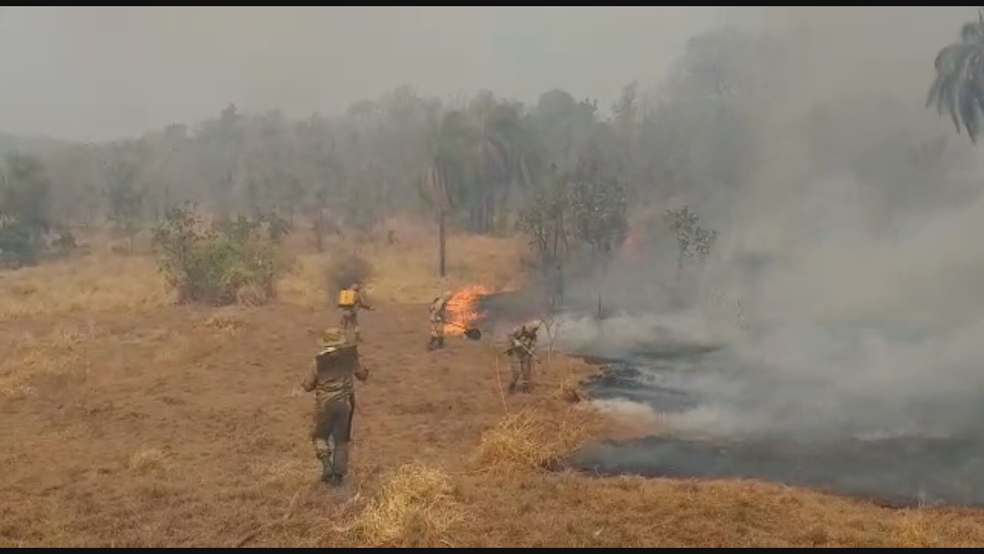 Incêndios no MS