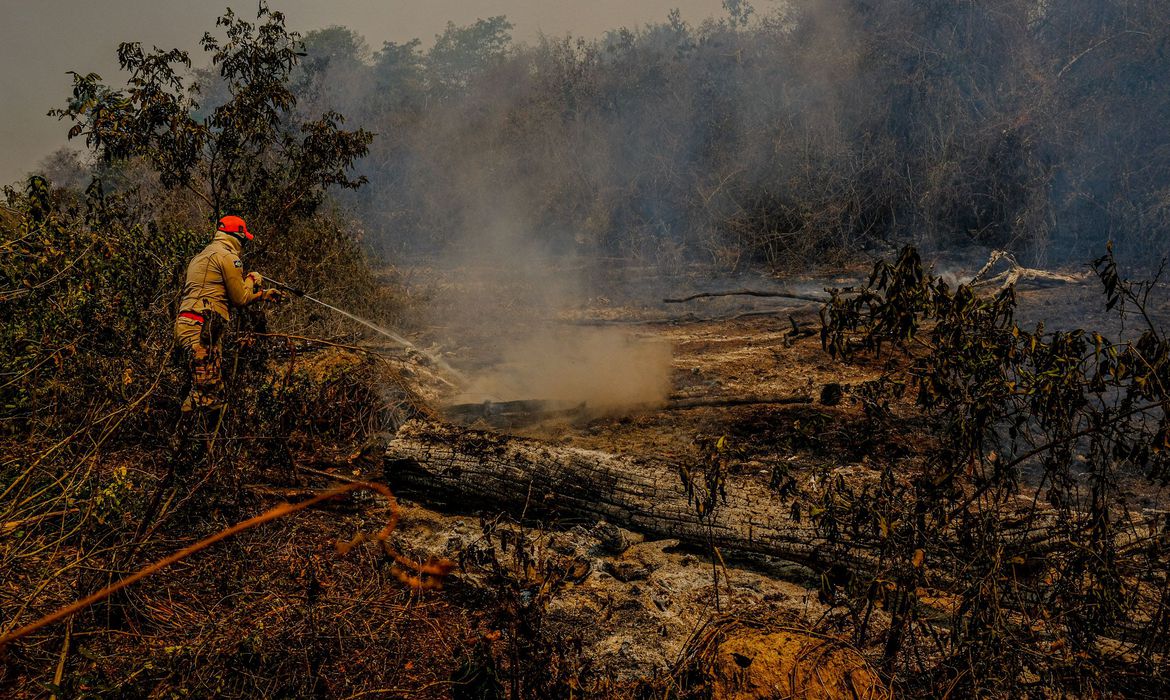 Agente combate foco de incêndio no Pantanal