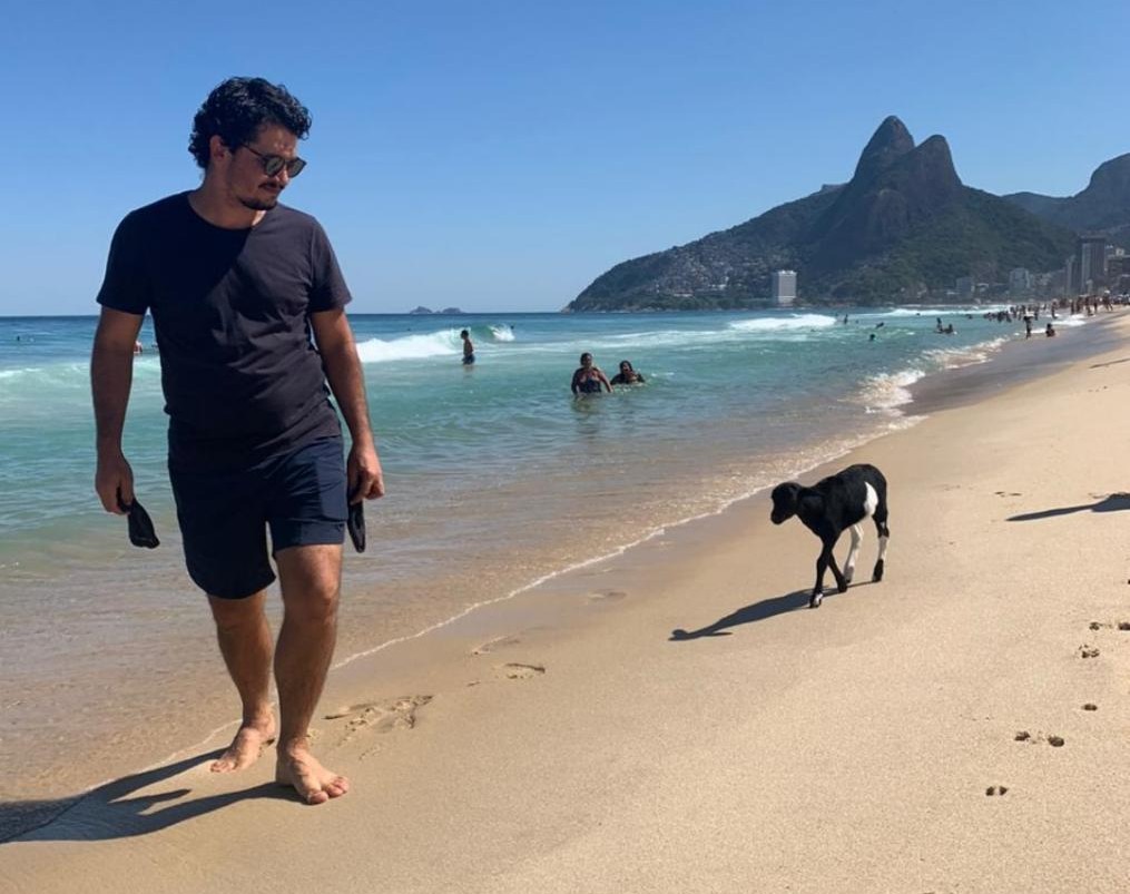 'Ovelha de Ipanema' caminha pela praia no Rio