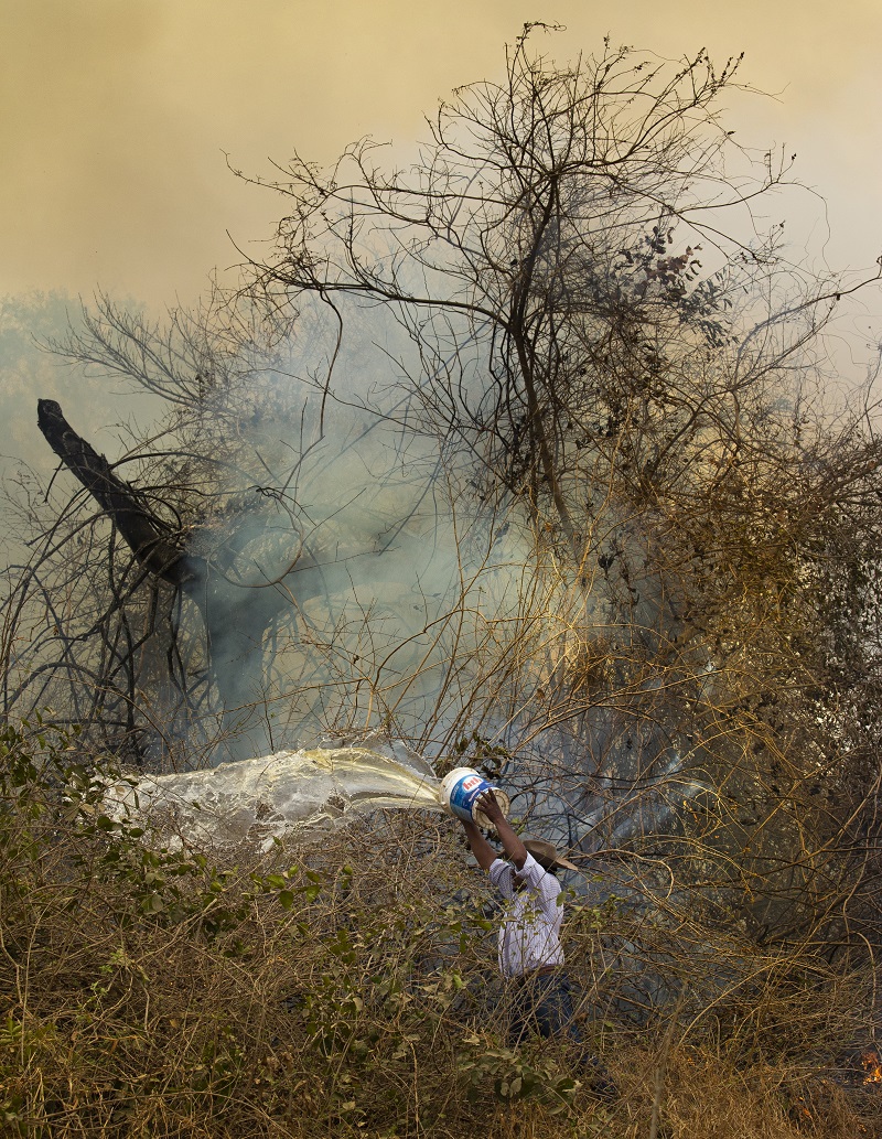 Homem usa balde de água contra chamas no Pantanal