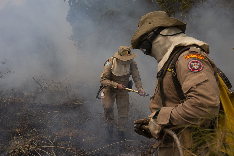 Bombeiros trabalham para conter as chamas de incêndio florestal no Pantanal