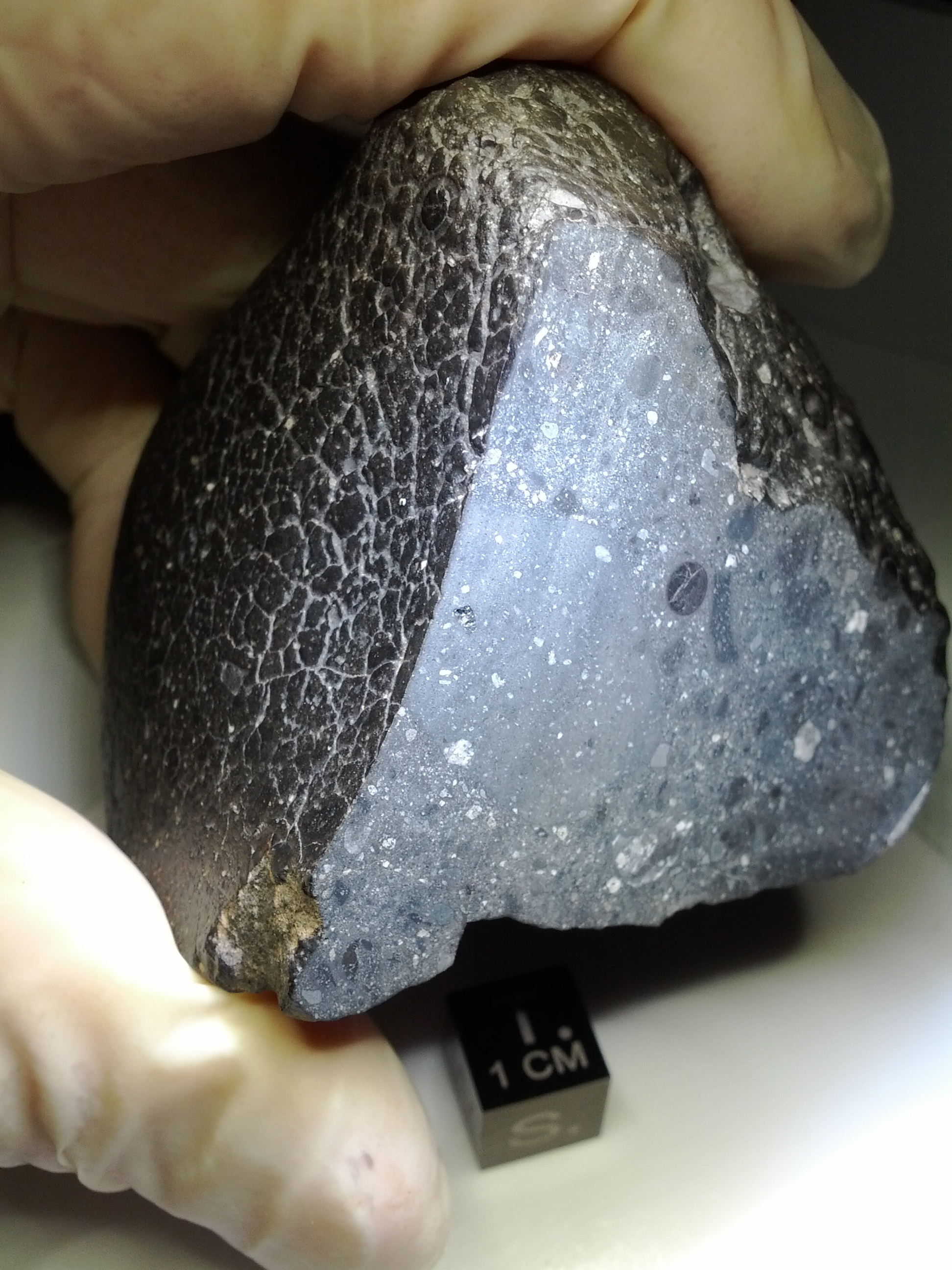 Meteorito de Marte chamado "Black Beauty" pesa 320 gramas