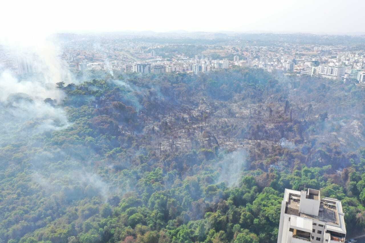 Área consumida pelo fogo no Parque Municipal Ursulina de Andrade Mello