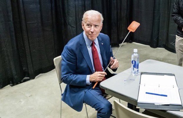 Candidato democrata Joe Biden segura mata-moscas