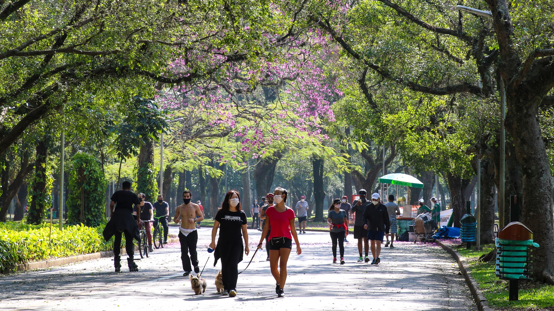 Pessoas fazem exercício no Parque do Ibirapuera durante a pandemia