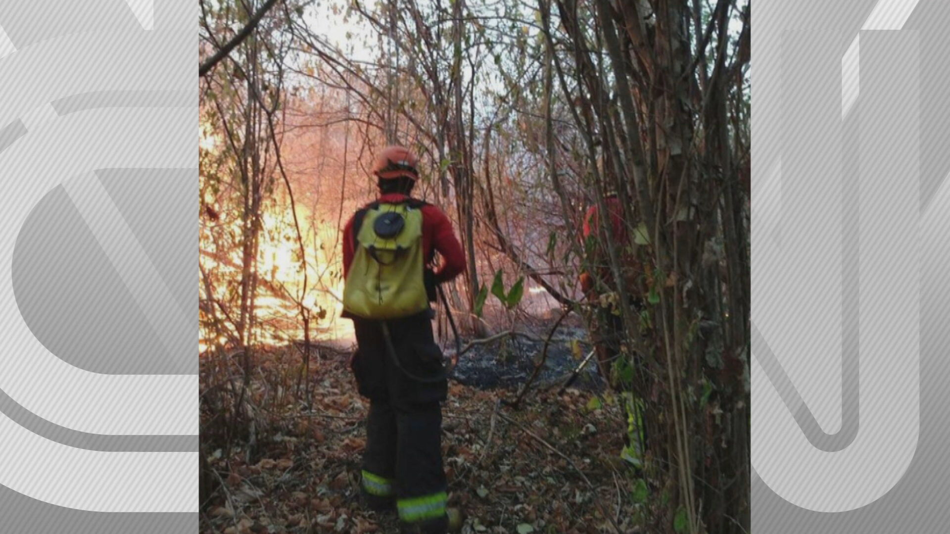 Incêndio atingia o Parque Estadual Mata da Pimenteira