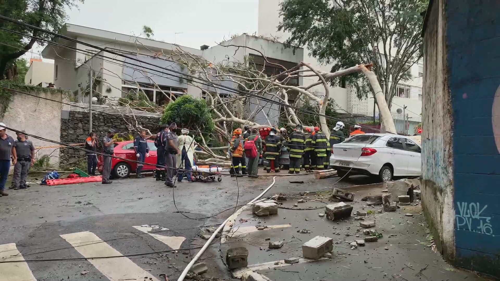 Motorista morre após árvore cair sobre carro em São Paulo