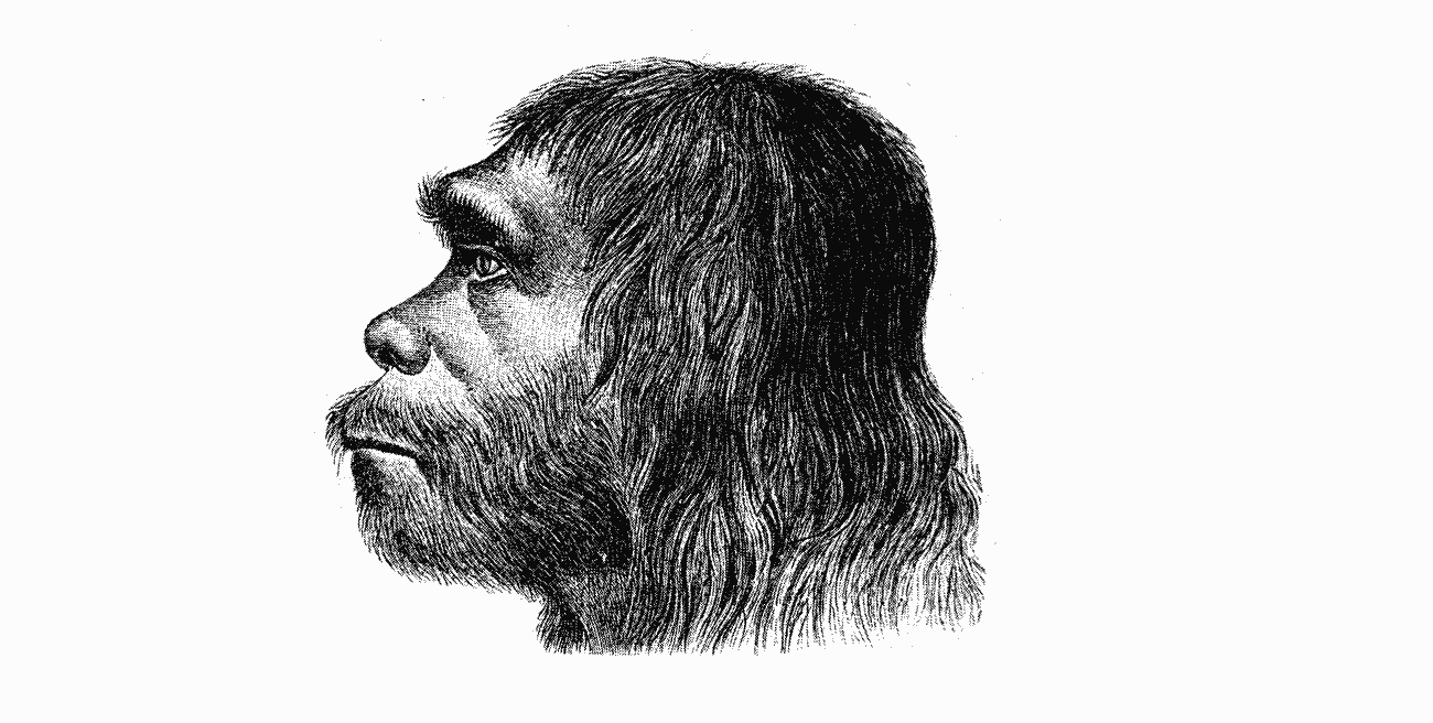 Reconstrução do homem de neandertal