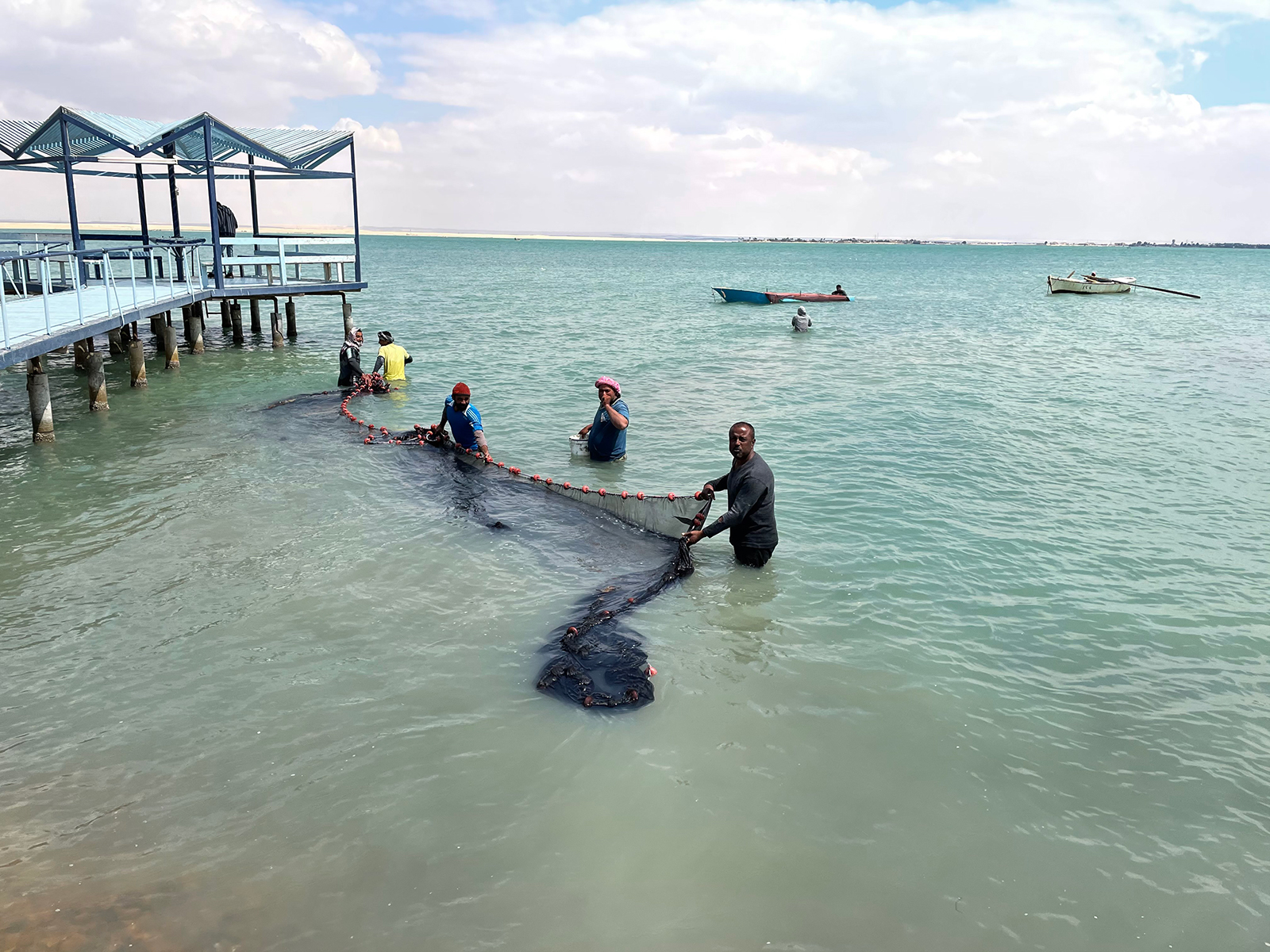 Reda El Sayed e outros pescadores jogam rede nos lagos entre Ismailia e Suez
