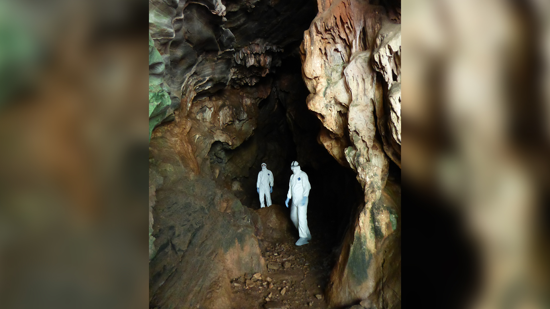 Ciientistas da EcoHealth Alliance em caverna
