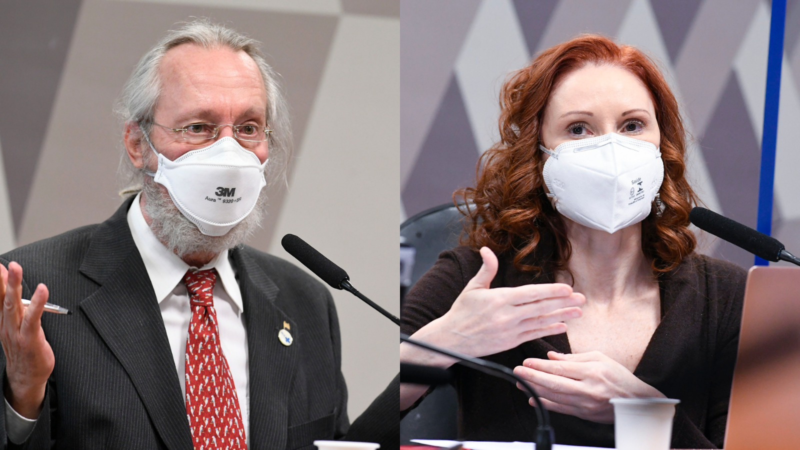 Os cientistas Claudio Maierovitch e Natalia Pasternak durante a CPI da Pandemia