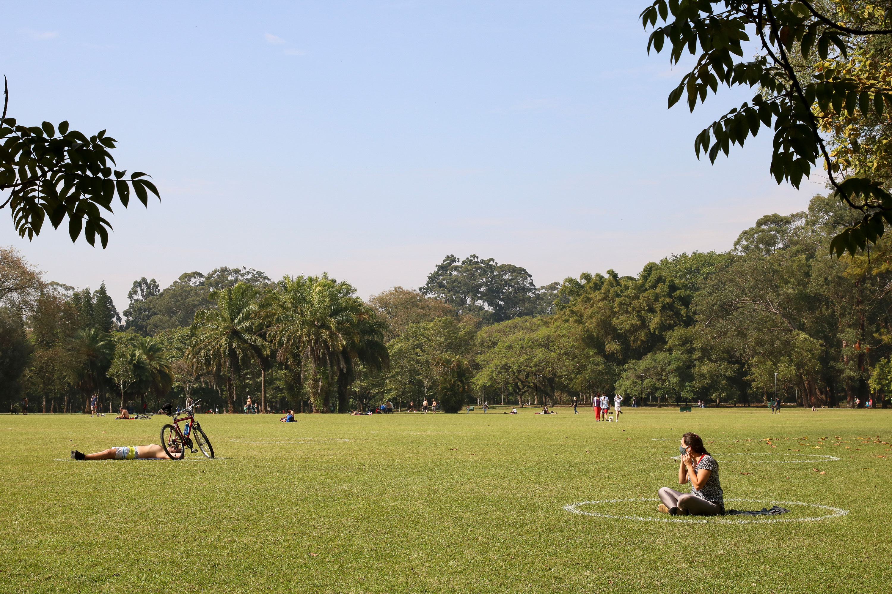 Marcações no gramado para manter o distanciamento no Parque do Ibirapuera