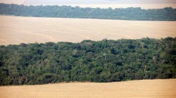 Ambientalistas temem que a proposta pode permitir a aceleração da destruição da floresta Amazônica