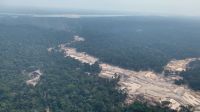 Países amazônicos pedem ao BID financiamento para sustentabilidade