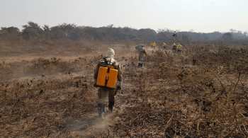 Mato Grosso e Mato Grosso do Sul têm decretos de emergência vigentes por causa das queimadas no Pantanal