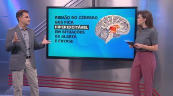 Neurocirurgião Fernando Gomes esclareceu como uma tragédia, como a ocorrida no Líbano, pode gerar um comportamento agressivo e massa