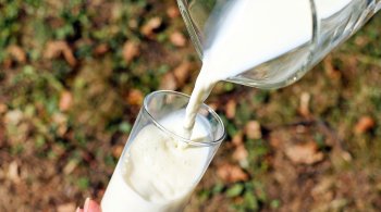 Cotação do leite UHT e dos derivados reduziu em cerca de 18% em setembro e cai novamente na primeira semana deste mês