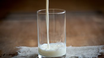 Preço do leite UHT registra queda acumulada de 17,3% e o da mussarela, de 10,8%, nas negociações entre produtores de laticínios e canais de distribuição