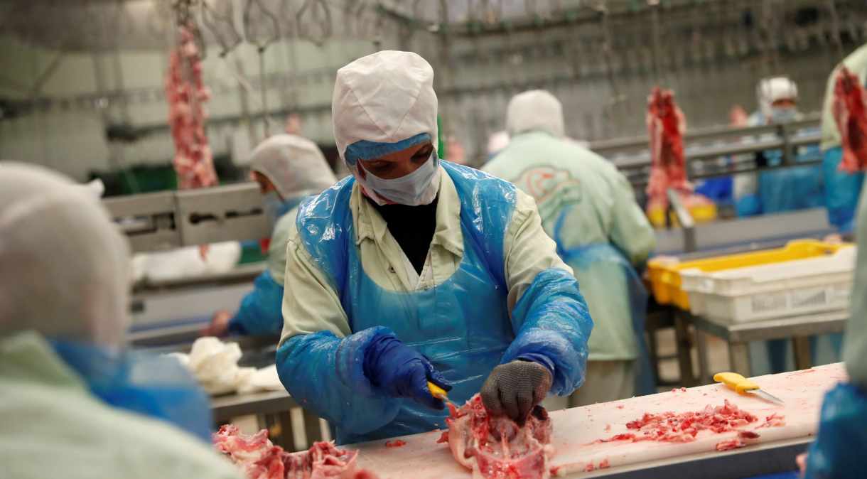 Corte de frangos em frigorífico: o Brasil é o maior exportador do mundo dessa proteína animal 