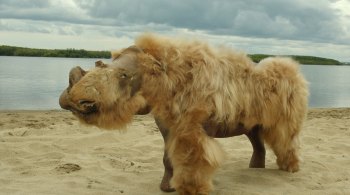 Animal que vivia na Era do Gelo pode ter se alimentado com um dos últimos rinocerontes lanudos da história, espécie que podia alcançar até 2 metros de altura