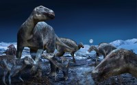 Estrutura óssea única ajudava dinossauros a aguentarem grande peso