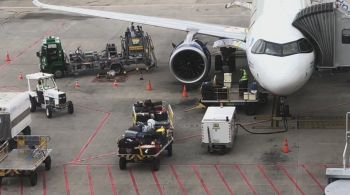 Pista do Aeroporto do Recife ficou interditada por 11 minutos para que animal fosse removido do local