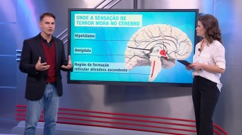 Fernando Gomes fala sobre os episódios de violência e guerra de facções ocorridos nesta semana no Rio de Janeiro e como a mente atua nestes momentos