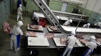 A Seara viu o Ebitda ajustado subir 55,4%, enquanto as operações com carne suína e de frango nos EUA tiveram saltos de 64,7% e 48,9%, respectivamente