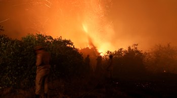 No Pantanal, este já é o pior ano desde que o Instituto Nacional de Pesquisas Espaciais começou a registrar os focos ativos de fogo, em 1998