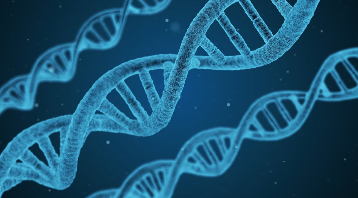 Método estatístico utilizou informações genéticas de 3.154 genomas humanos atuais