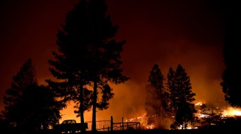 Mais de 890 mil hectares foram atingidos pelo fogo nas últimas semanas