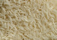 Conexão Agro: Exportação de Arroz atinge maior valor do ano em outubro