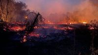 Bombeiros monitoram focos de incêndio em 15 municípios do MT