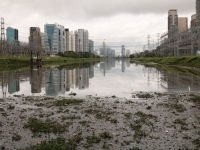 Lixômetro: mais de 66 mil toneladas de lixo retiradas do Rio Pinheiros em menos de um ano