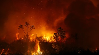 Tropas participam de 17 ações na Amazônia Legal. Brasil registrou piora nos registros de fogo em agosto