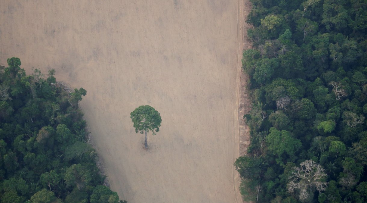 Vista de área desmatada na floresta amazônica perto de Porto Velho (RR)