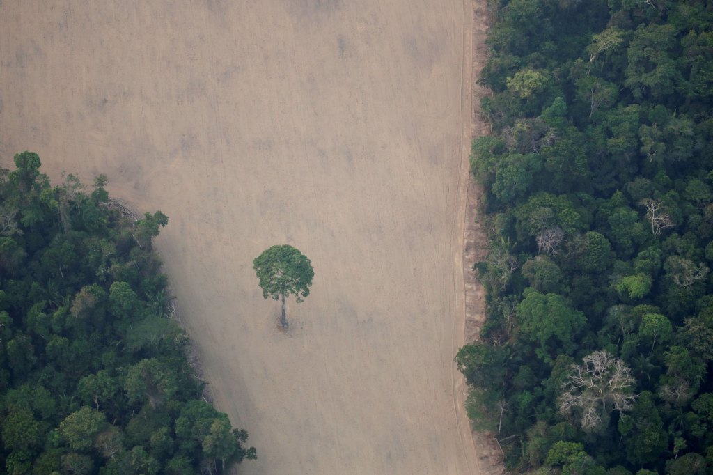 Vista de área desmatada na floresta amazônica perto de Porto Velho (RR)