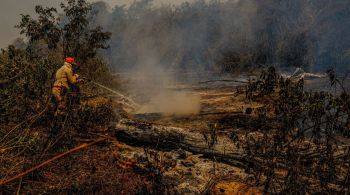 Focos de incêndio cresceram 137% somente na caatinga, vegetação com maior aumento de focos de incêndio 