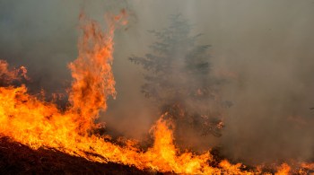 Cerca de 1,9 milhão de hectares de terras foram destruídos pelo fogo nos estados de Oregon, Washington e Califórnia