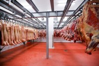 Especialistas apontam “poder de barganha” da China sobre embargo à carne brasileira